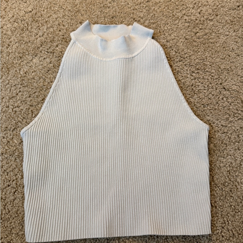 Babaton Ribbed Mock Neck Tank